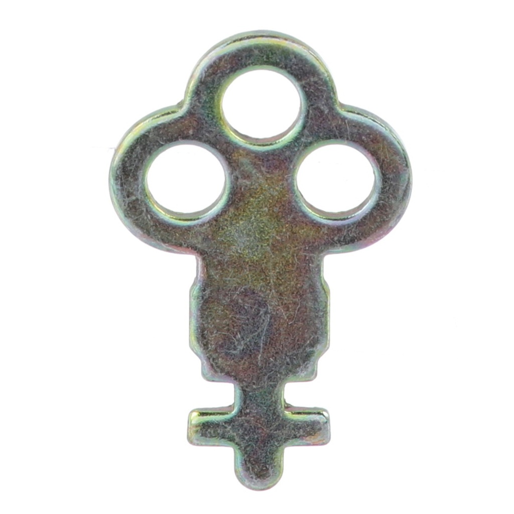 Instinct Clef pour distributrice R1500, T1800, T1900, T1950, T1905